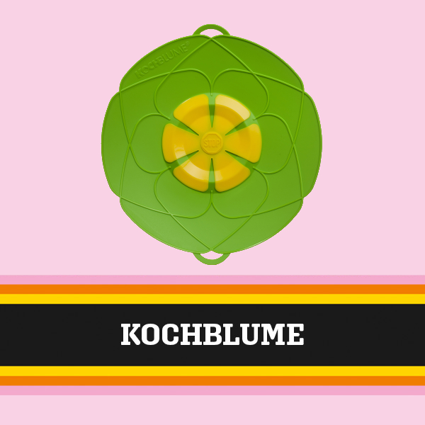 Kochblume Kochblume